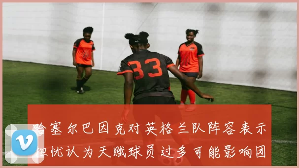 哈塞尔巴因克对英格兰队阵容表示担忧认为天赋球员过多可能影响团队合作
