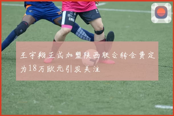 王宇翔正式加盟陕西联合转会费定为18万欧元引发关注